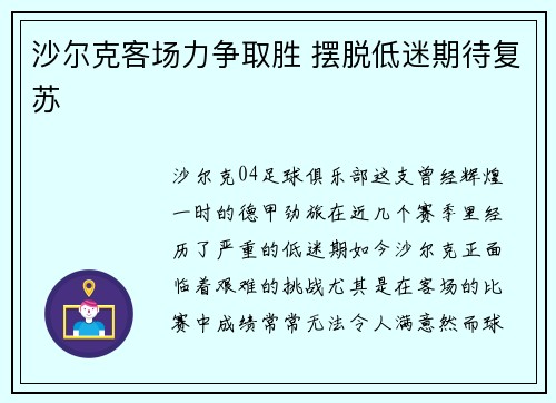 沙尔克客场力争取胜 摆脱低迷期待复苏